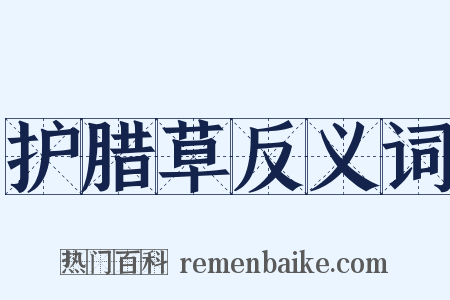 护腊草反义词是什么意思的图片